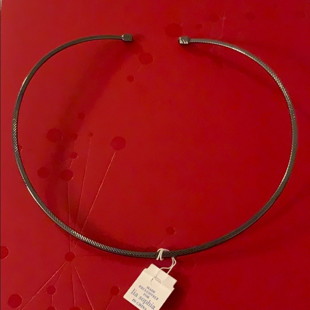 Lia Sophia Evolve 15-16” Collar necklace